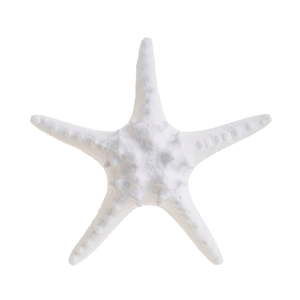 Biała dekoracja w kształcie rozgwiazdy InArt Wooden, ⌀ 11 cm