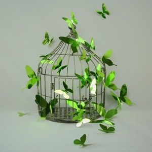 Zestaw 12 naklejek 3D Fanastick Butterflies Green
