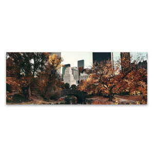 Obraz na płótnie Styler Central Park, 150x60 cm