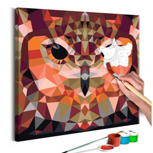 Zestaw płótna, farb i pędzli DIY Artgeist Owl, 60x40 cm
