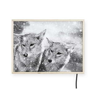 Świecąca dekoracja ścienna z motywem wilka Surdic, 40x30 cm