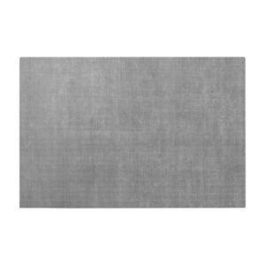 Szary dywan z wiskozy 160x240 cm Visca – Blomus