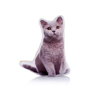 Poduszka z nadrukiem kota Adorable Cushions Midi Blue Cat