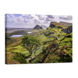 Obraz Styler Canvas Scotland Nature, 85x113 cm
