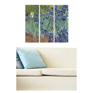Obrazy zestaw 3 szt. 20x50 cm Vincent van Gogh – Wallity