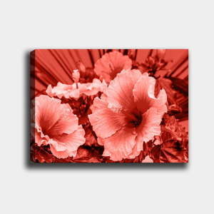 Obraz na płótnie Tablo Center Poppies, 40x60 cm