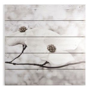 Obraz z drewna Graham & Brown Serenity Blossoms, 60x60 cm