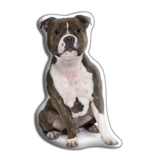 Poduszeczka Adorable Cushions Staffordshire Bull Terrier