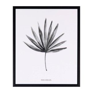 Obraz sømcasa Palm, 25x30 cm