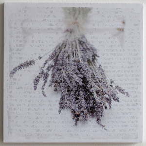 Obraz na płótnie Lavende, 28x28 cm
