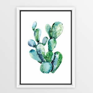 Plakat w ramce Piacenza Art Kaktus, 30x20 cm