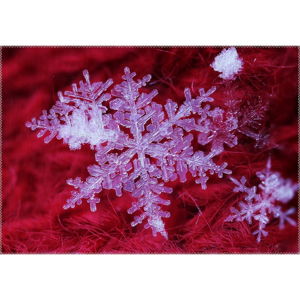 Dywan Vitaus Christmas Period Red Icy Snowflake, 50x80 cm