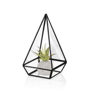 Szklane terrarium z detalem w czarnym kolorze The Mia Glamour