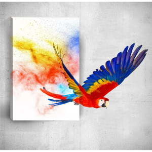 Obraz 3D Mosticx Colourful Parrot, 40x60 cm