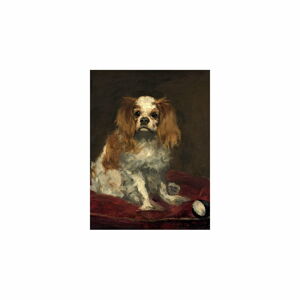 Reprodukcja obrazu Édouarda Maneta – A King Charles Spaniel, 40x30 cm