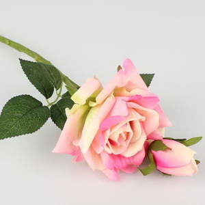 Róża dekoracyjna Dakls