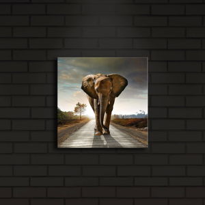 Podświetlany obraz Elephant, 28x28 cm