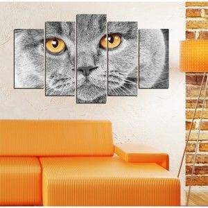 Obraz wieloczęściowy Insigne Cat Eyes, 102x60 cm