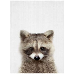 Plakat Blue-Shaker Baby Animals Raccoon, 30x40 cm