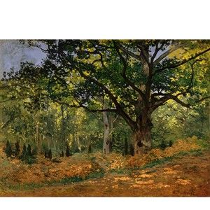 Reprodukcja obrazu Claude'a Moneta The Bodmer Oak, Fontainebleau Forest, 70x50 cm