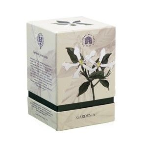 Świeczka o zapachu gardenii Bahoma London Fragranced, 75 h