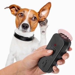 Ultradźwiękowy psi trener InnovaGoods