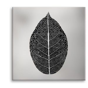 Obraz Styler Canvas Silver Uno Black Leaf, 65x65 cm