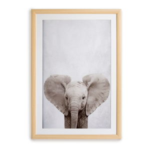 Obraz w ramie Surdic Elephant, 30x40 cm