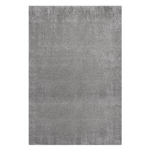 Szary dywan z włókien z recyklingu 80x150 cm Velvet – Flair Rugs