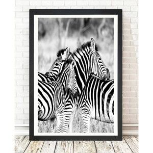 Obraz Tablo Center Zebras, 24x29 cm
