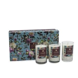 Zestaw 3 świeczek o zapachu gruszki i lilii Bahoma London Oasis Renaissance, 30 h