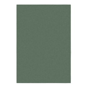 Zielony dywan 120x170 cm – Flair Rugs